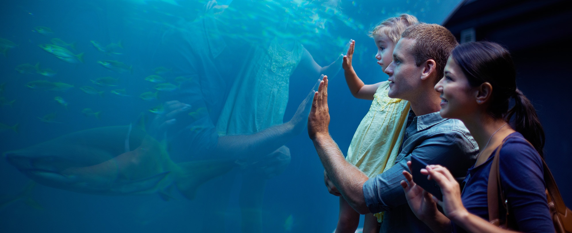 A family of three looks into a aquarium tank filled with fishes.